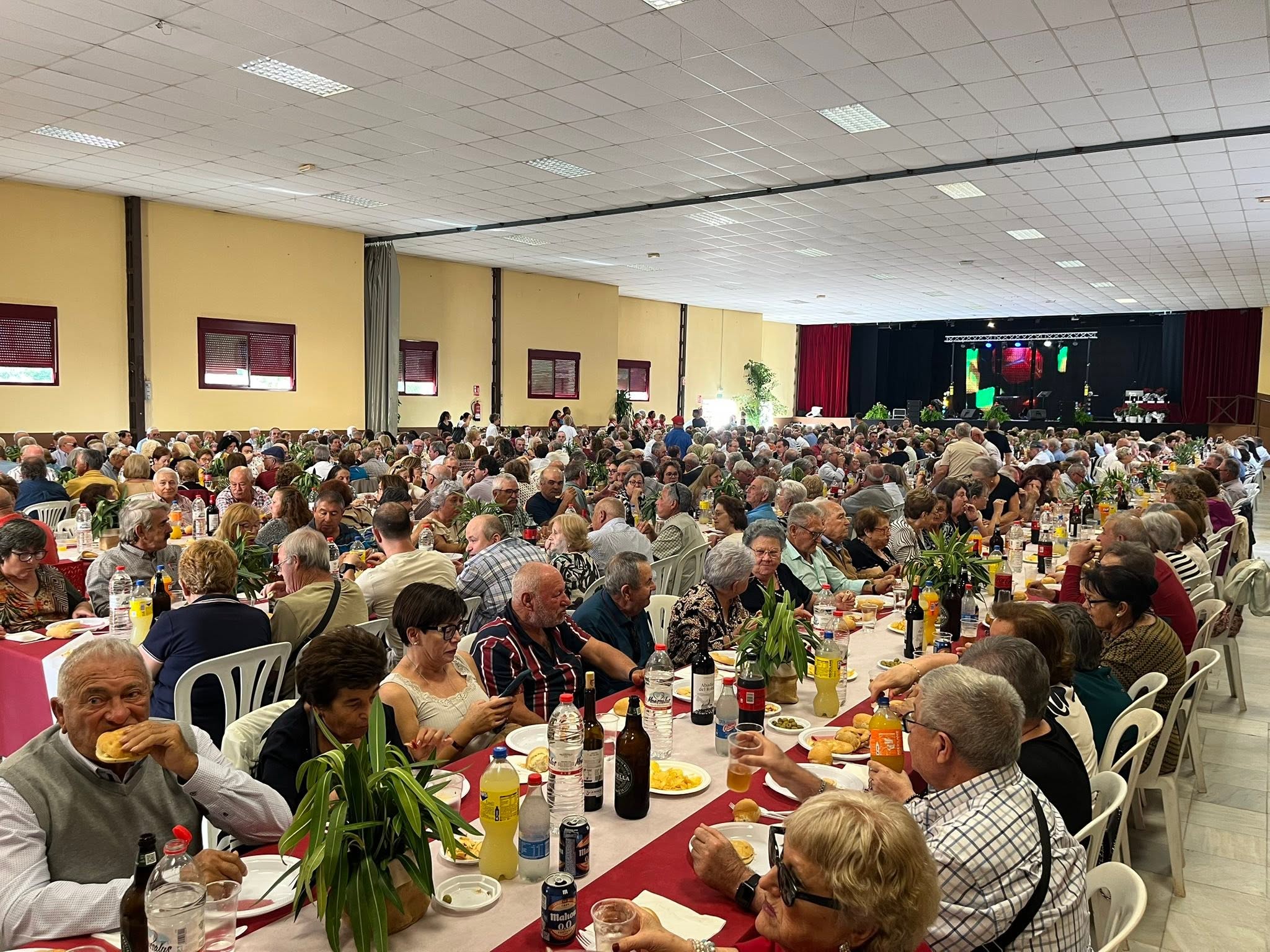 comida en honor a los mayores 2025