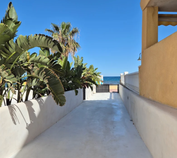 unnamed (5)-convertido-de-webp.png